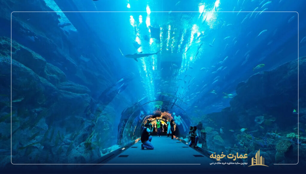 Dubai Aquarium آکواریوم دبی مال یکی از جاهای دیدنی دبی