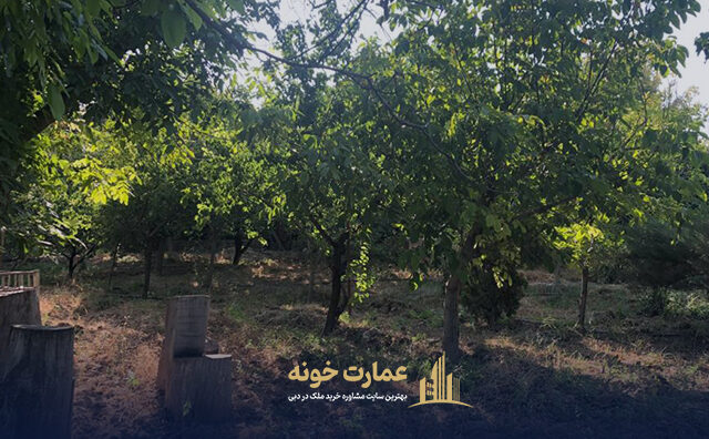 معاوضه باغ در کیلان دماوند با دبی