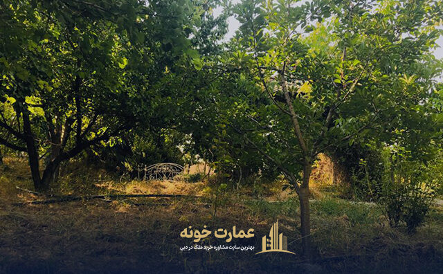 معاوضه باغ در کیلان دماوند با دبی